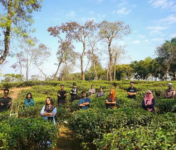 Team members working outdoors in a natural setting
