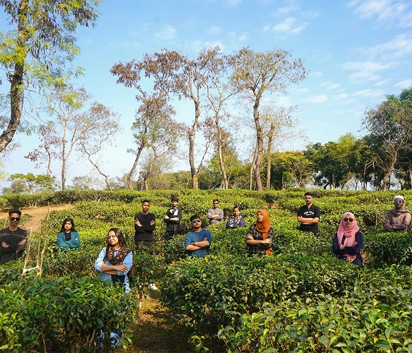 Team members working outdoors in a natural setting